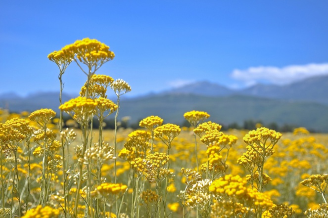 Acutalité mise en avant 1 Acutalité mise en avant 1