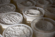 La Corse terre de labels La Corse terre de labels