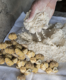 La Corse terre de labels La Corse terre de labels