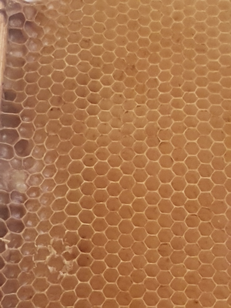 L'AOP miels de corse a fêté ses 20 ans ! L'AOP miels de corse a fêté ses 20 ans !