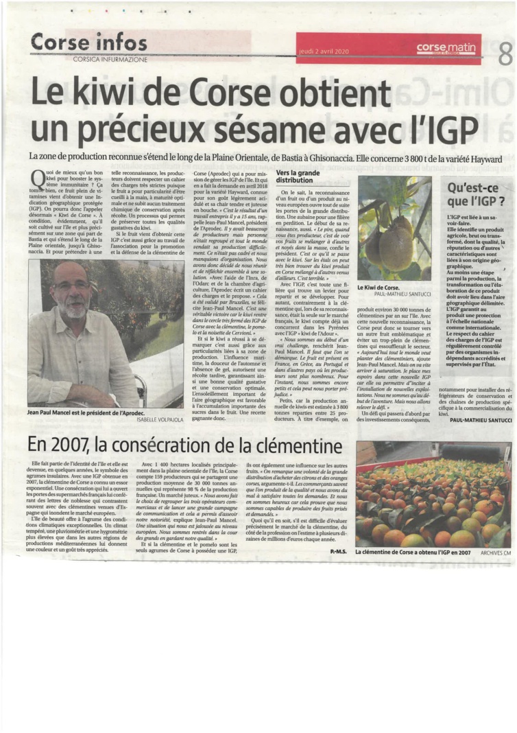 Le Kiwi corse décroche L'IGP !! Le Kiwi corse décroche L'IGP !!