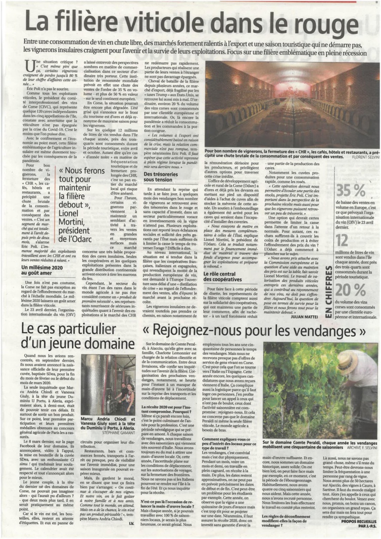 Covid-19 : La filière viticole en grande difficulté Covid-19 : La filière viticole en grande difficulté