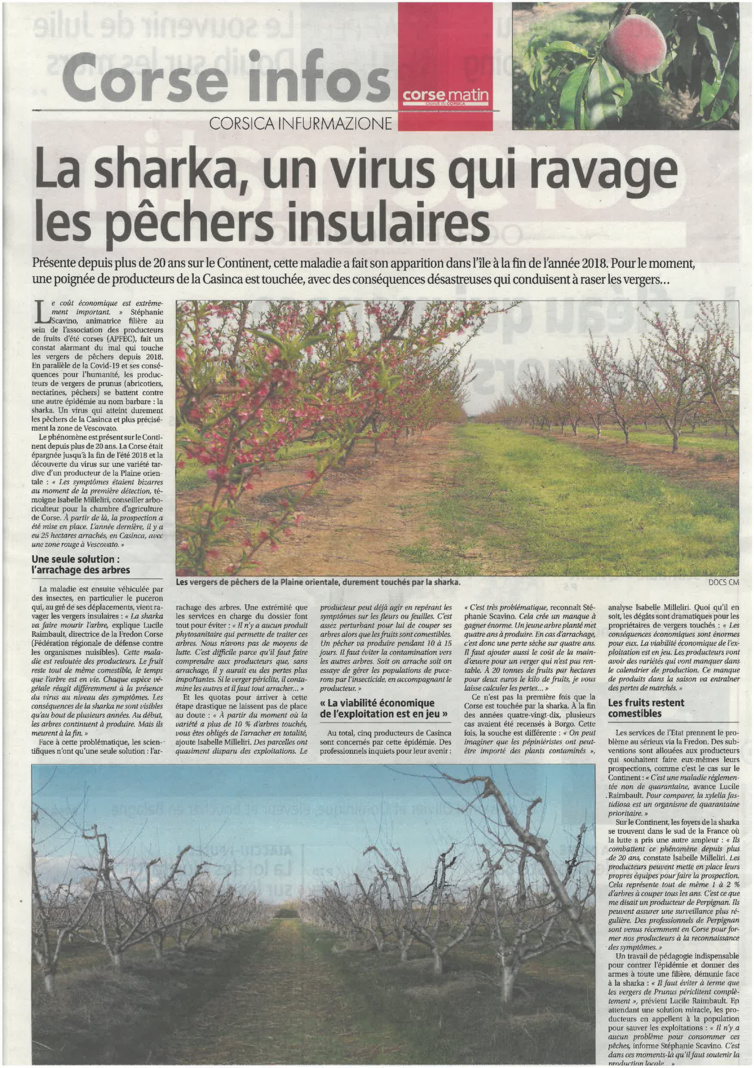 Sharka Attaque !! Sharka Attaque !!