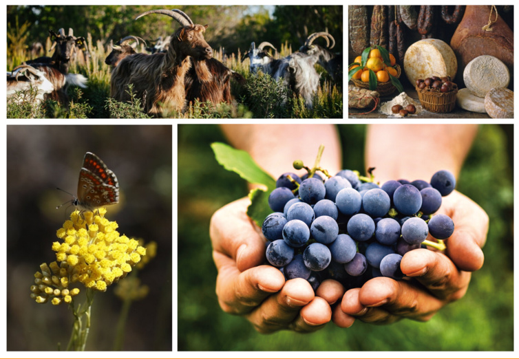 A strada di i sensi A strada di i sensi