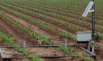 Les AAP agricoles en cours