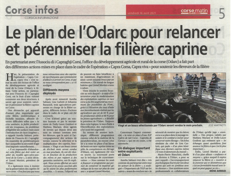 Capra Corsa, Capra VIVA - L'ODARC s'impegna pè mantene a filiera capruna Capra Corsa, Capra VIVA - L'ODARC s'impegna pè mantene a filiera capruna