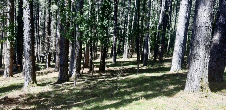 Signature d'une Convention Triennale de Partenariat ODARC & CRPF Signature d'une Convention Triennale de Partenariat ODARC & CRPF