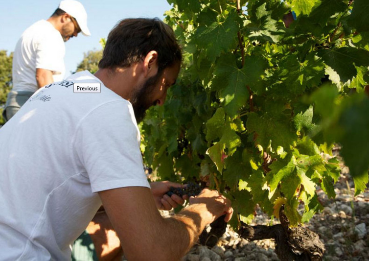 Vous voulez vous installer ? Premiers contacts Vous voulez vous installer ? Premiers contacts