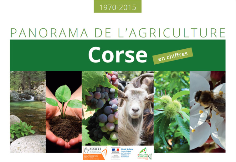 Panorama de l'agriculture Panorama de l'agriculture