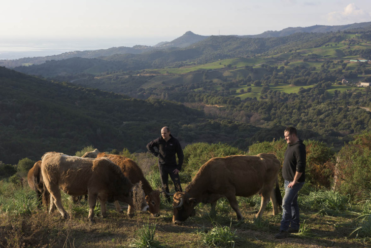 PDRC le document complet PDRC le document complet