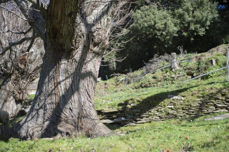 Les AAP foncier et monde rural Les AAP foncier et monde rural