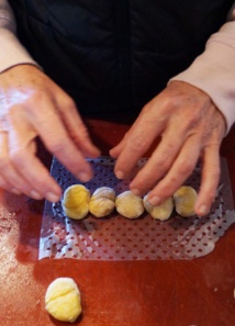 Castanéiculture Castanéiculture