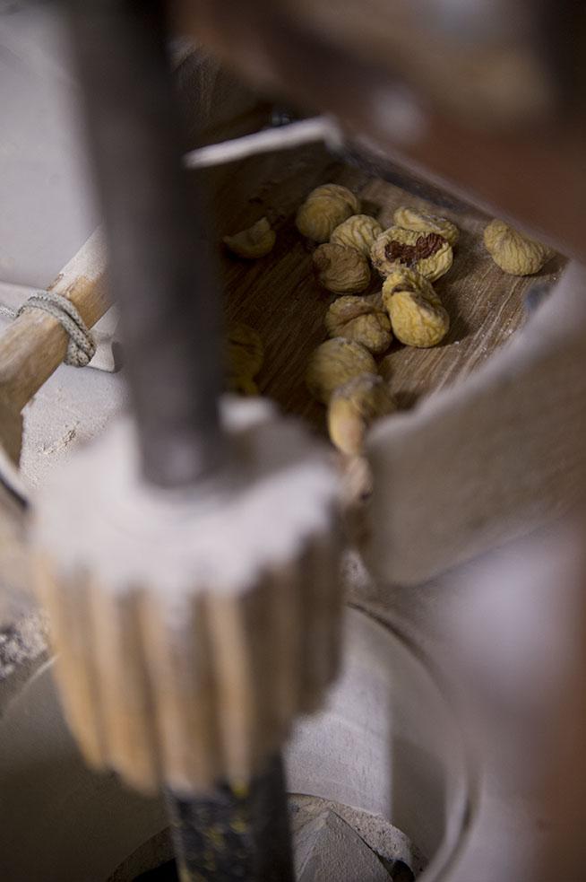 Castanéiculture Castanéiculture