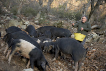 Le Plan Ambition Le Plan Ambition