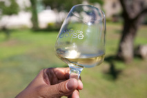 Viticulture Viticulture