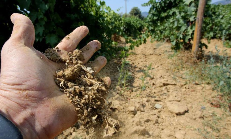 SECHERESSE : Un dispositif spécifique de la CdC pour les éleveurs SECHERESSE : Un dispositif spécifique de la CdC pour les éleveurs