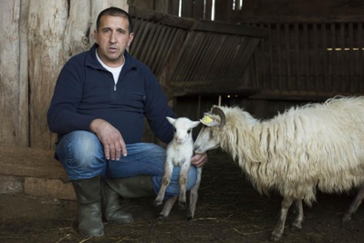 Anticiper les effets de la sécherese dans les élevages Anticiper les effets de la sécherese dans les élevages