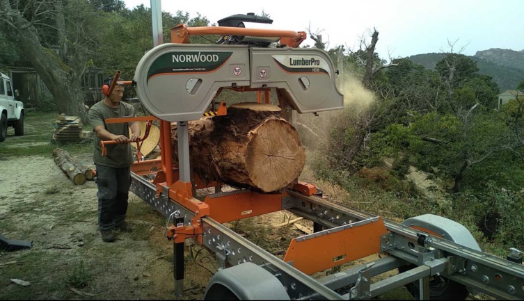 Appel à Projet investissements des entreprises filières bois. 