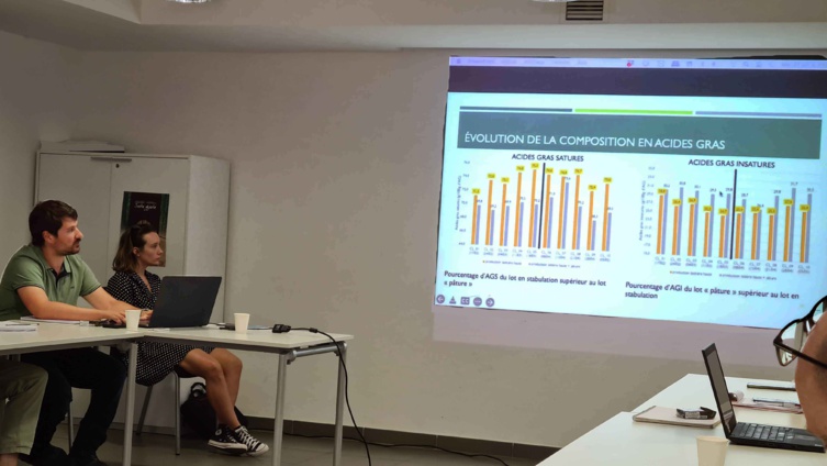 Pôle de compétence en élevage d'Altiani : Comité stratégique sur la brebis de race Corse, premières restitutions