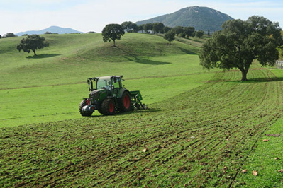 Appel à Projet 4.1.3 -EURI- 2 : Cultures protéiques, Soutien à la plantation de légumineuses fourragères.