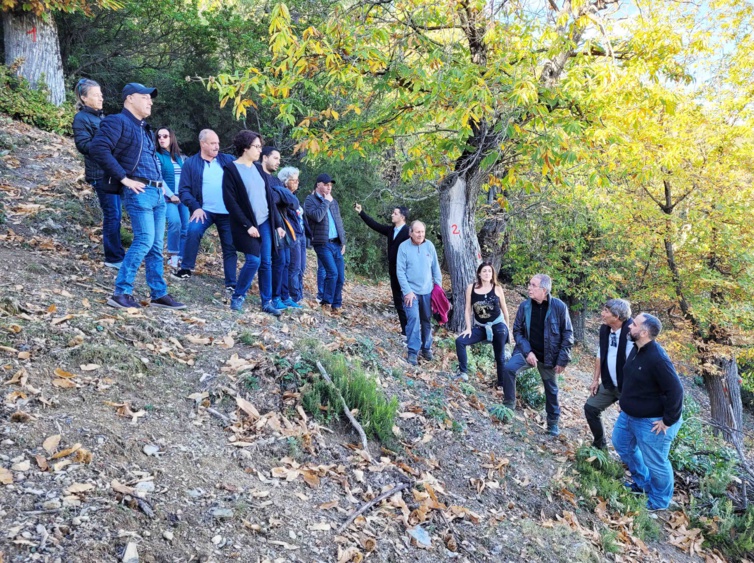 Visite en Corse de l'agence Marocaine MCA-Morocco Visite en Corse de l'agence Marocaine MCA-Morocco