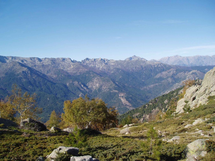 Appel à Projet N°4.3.1-1 Aménagement agricole et pastoral Appel à Projet N°4.3.1-1 Aménagement agricole et pastoral