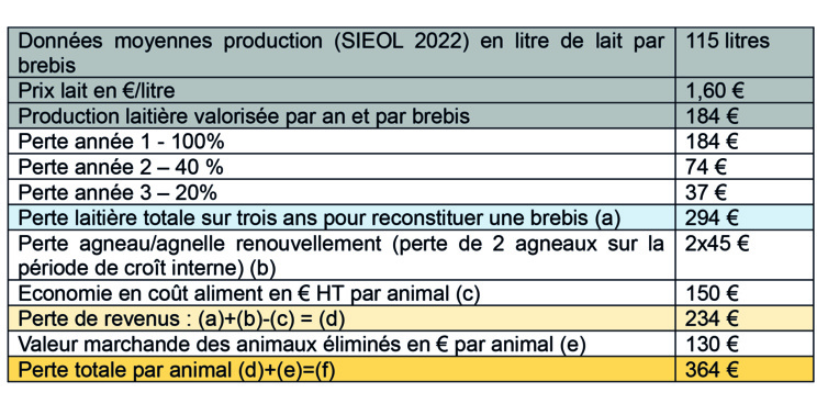 Fièvre catarrhale, une aide d’urgence pour une situation de crise Fièvre catarrhale, une aide d’urgence pour une situation de crise