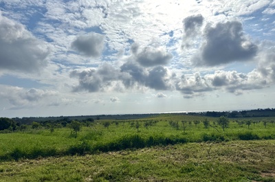 Deux jours pour penser l’agriculture autrement : retour sur le projet INN’PRATICA en Corse Deux jours pour penser l’agriculture autrement : retour sur le projet INN’PRATICA en Corse