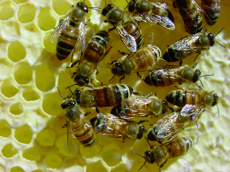 Un mémoire très abouti Un mémoire très abouti