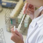 La qualité du lait de brebis corse La qualité du lait de brebis corse