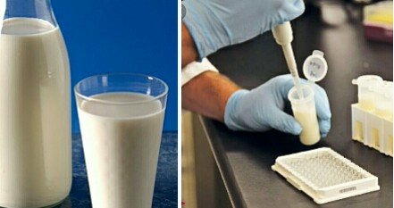 Quel système d'élevage pour un meilleur rendement en lait ? Quel système d'élevage pour un meilleur rendement en lait ?