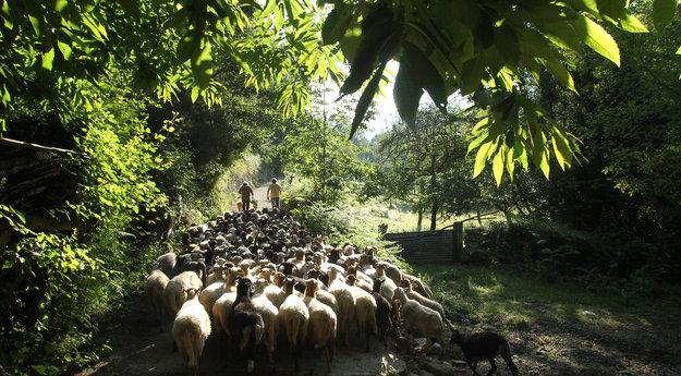 Actualité mise en avant 2 Actualité mise en avant 2