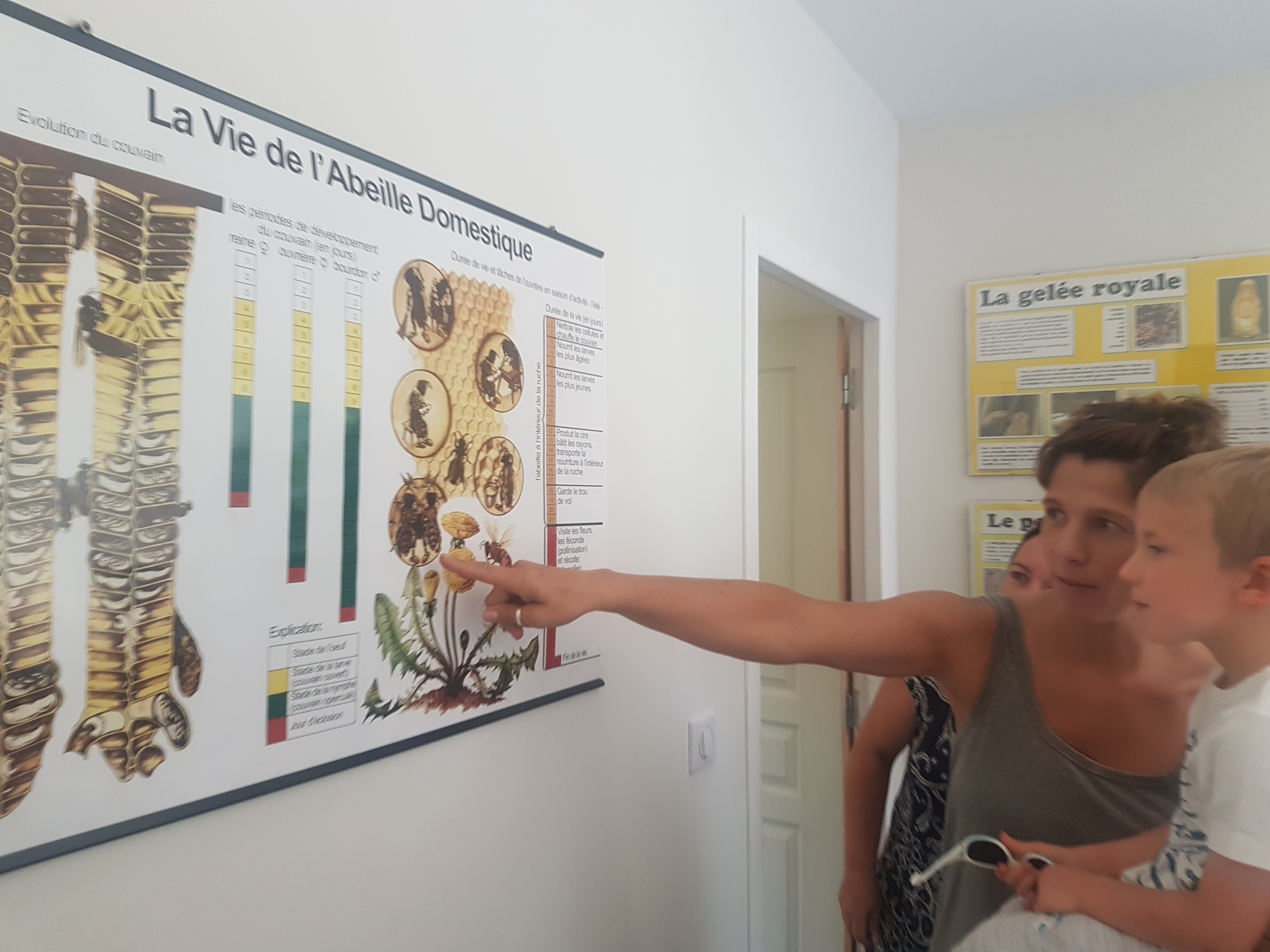 L'AOP miels de corse a fêté ses 20 ans ! L'AOP miels de corse a fêté ses 20 ans !