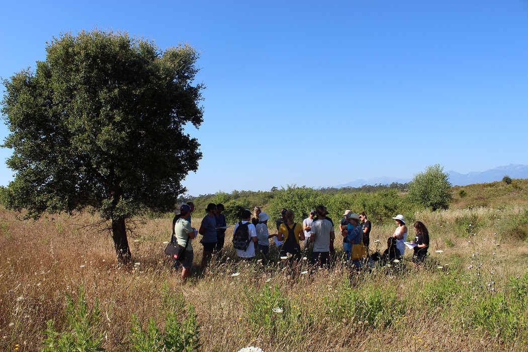 Ghjurnata tennica, un scambiu in giru à l'urtaglia biulogica