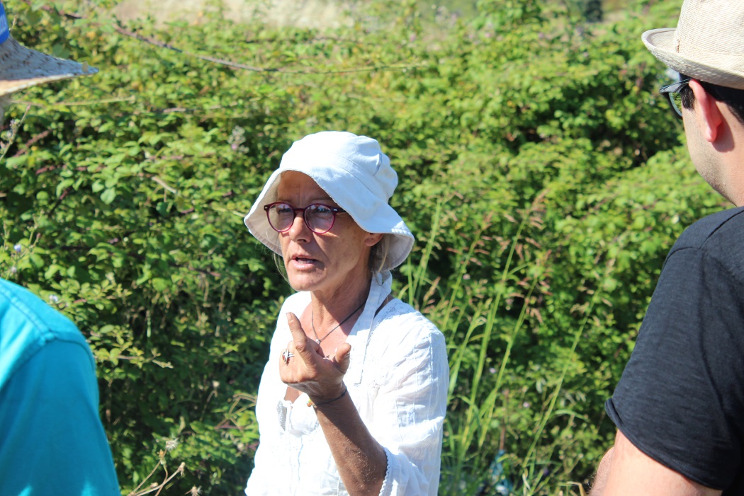 Ghjurnata tennica, un scambiu in giru à l'urtaglia biulogica