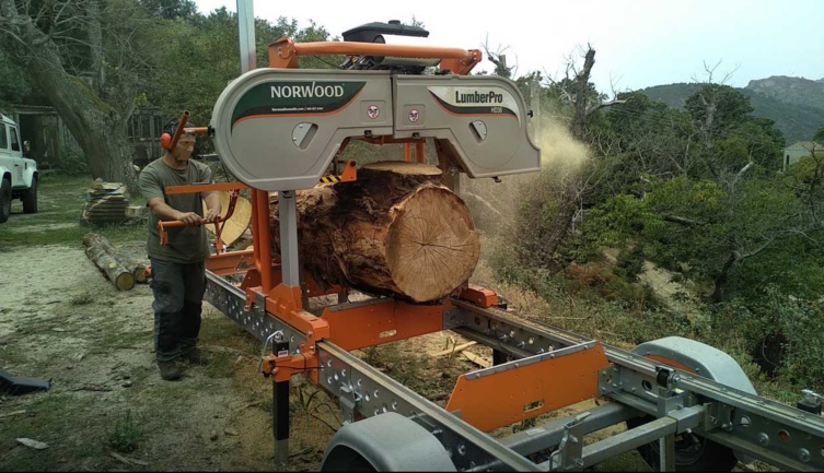 Les AAP en cours forêt-bois