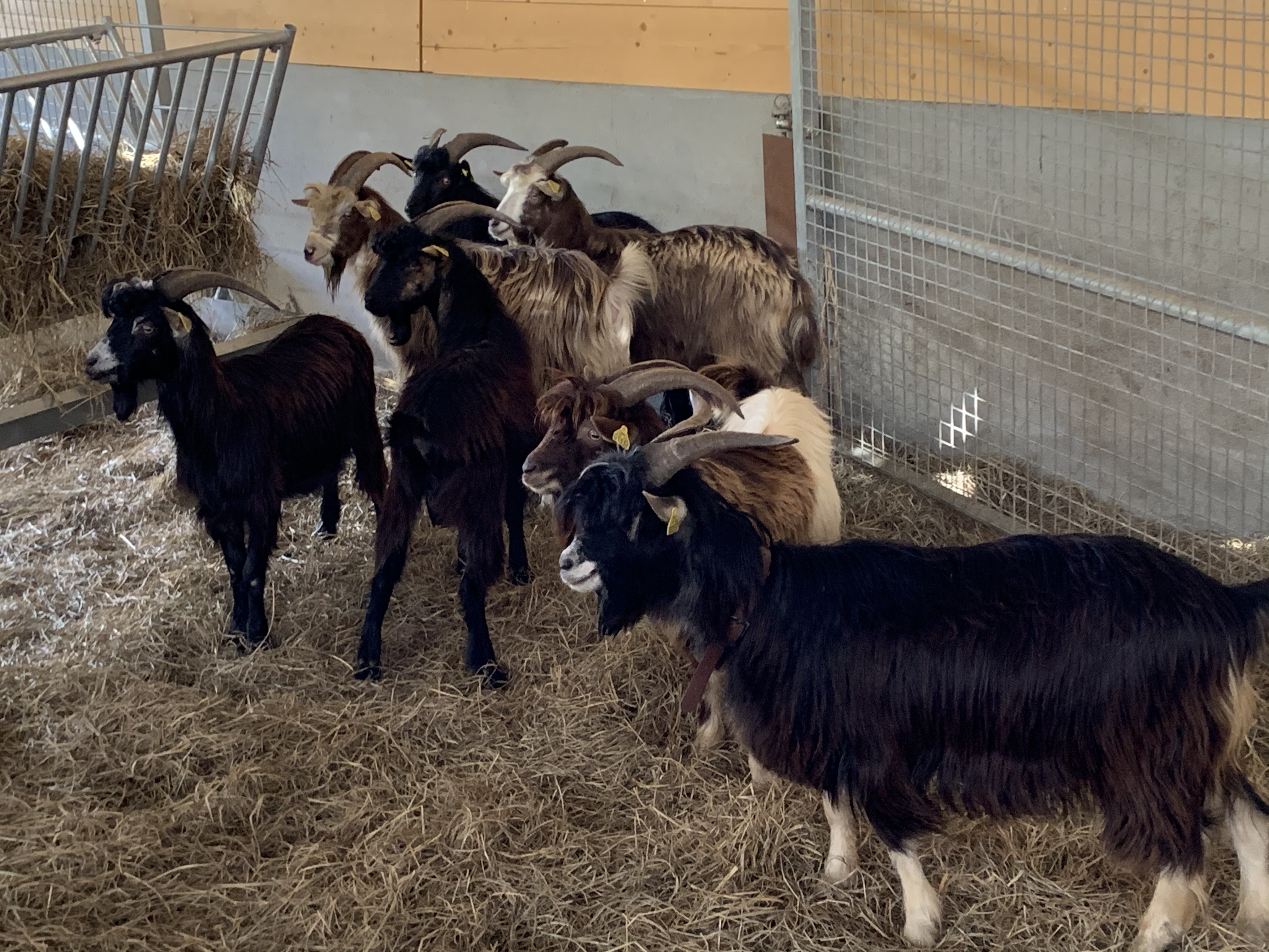 Un pôle de compétence en élevage Un pôle de compétence en élevage
