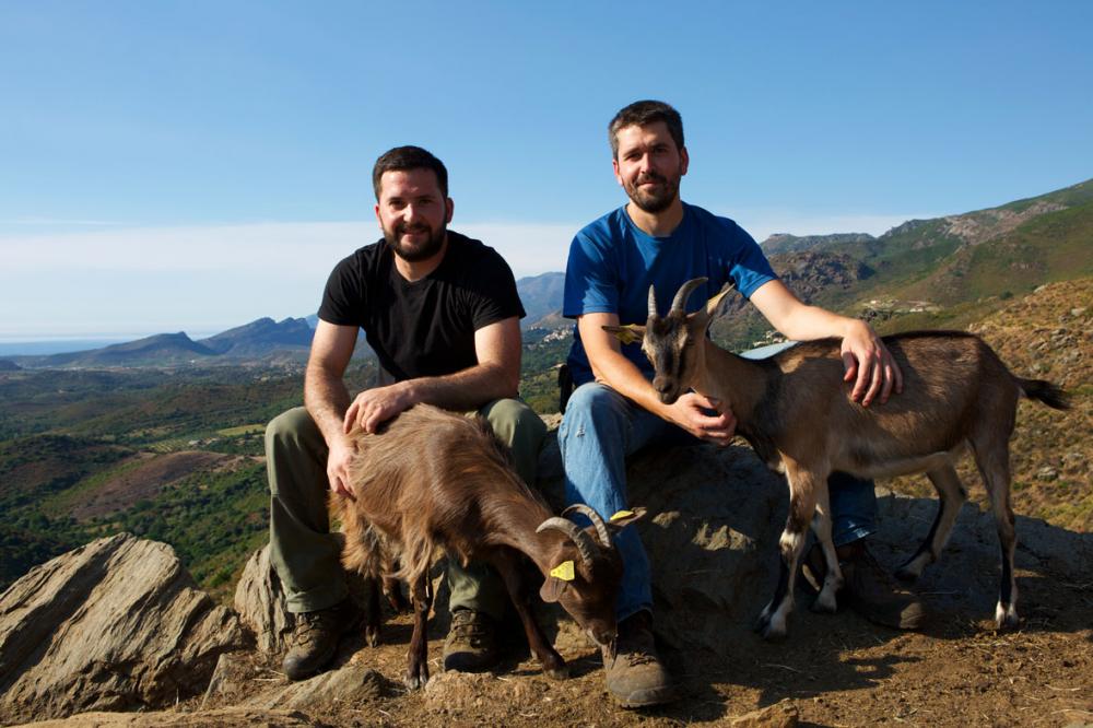 Les contrats de coopération professionnelle agricole