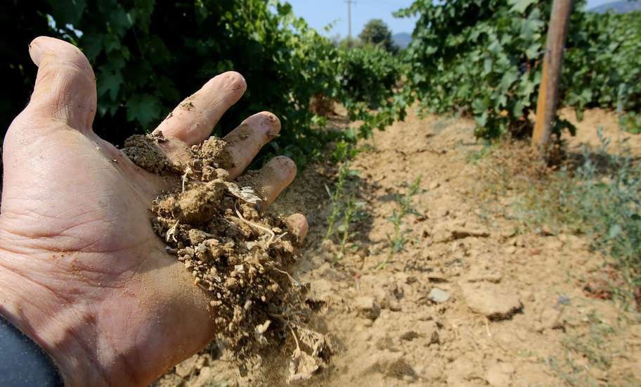 SECHERESSE : Un dispositif spécifique de la CdC pour les éleveurs SECHERESSE : Un dispositif spécifique de la CdC pour les éleveurs