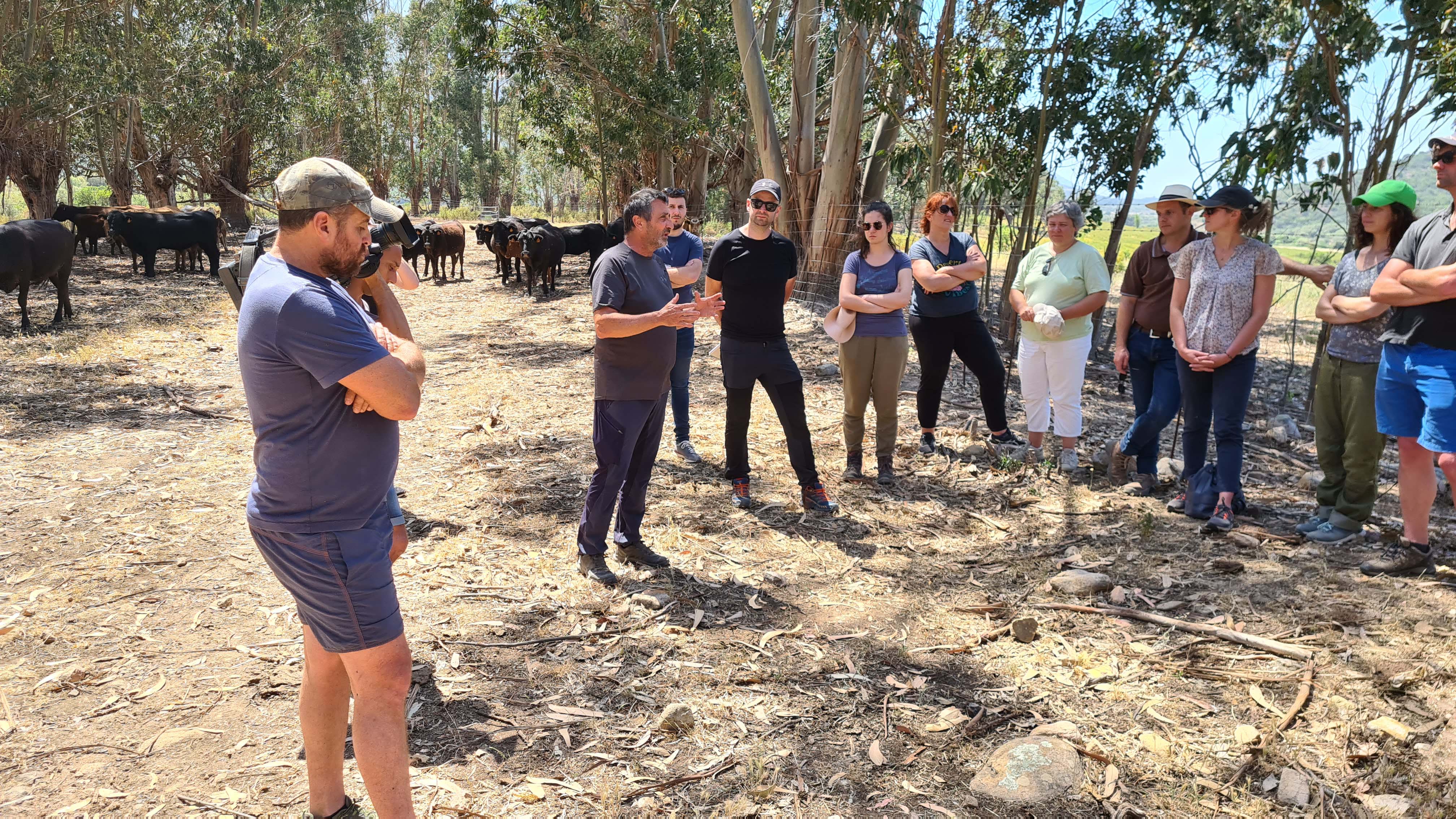 Organisation de journées d’études consacrées à l’Agroforesterie