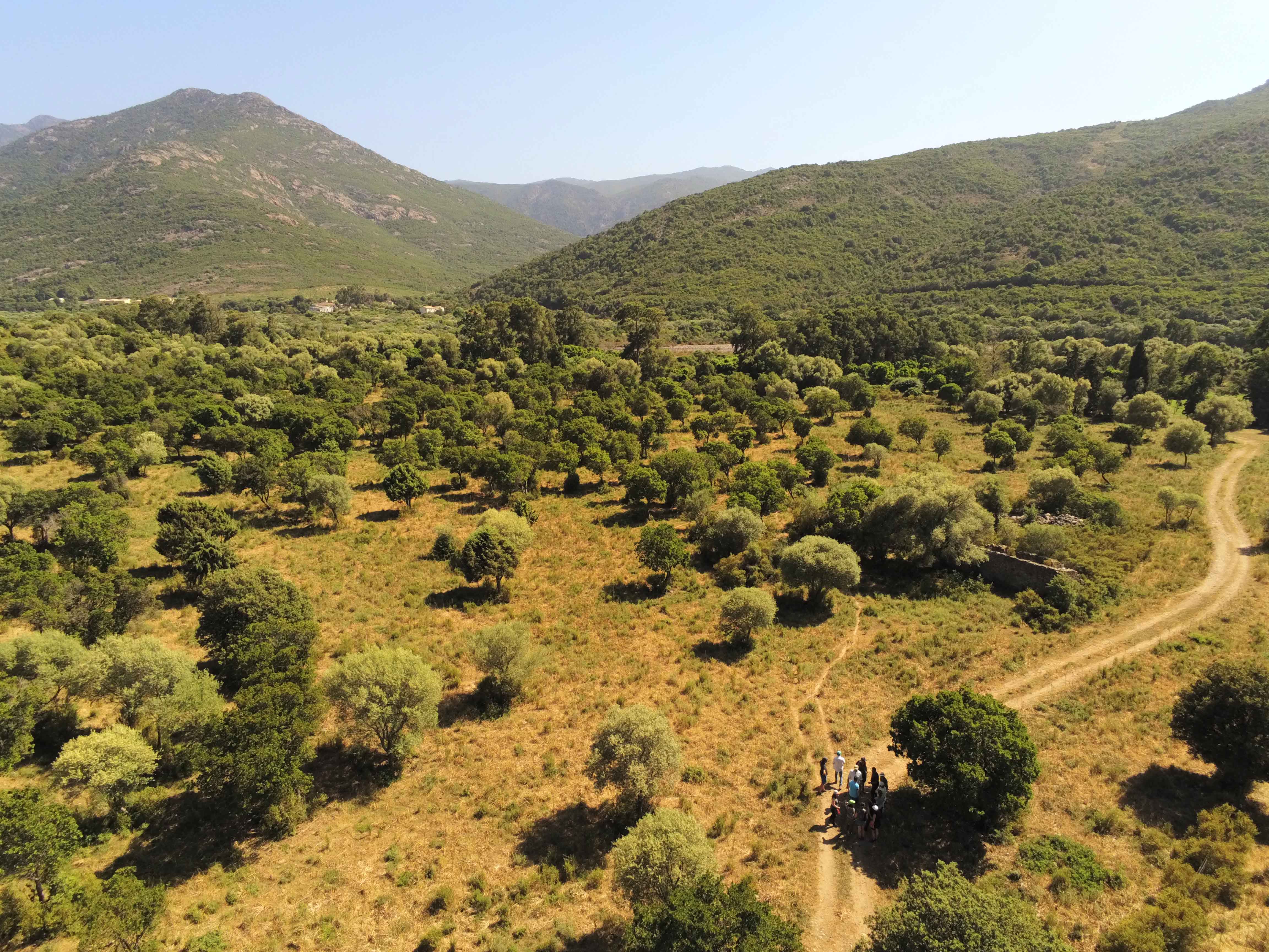 Organisation de journées d’études consacrées à l’Agroforesterie