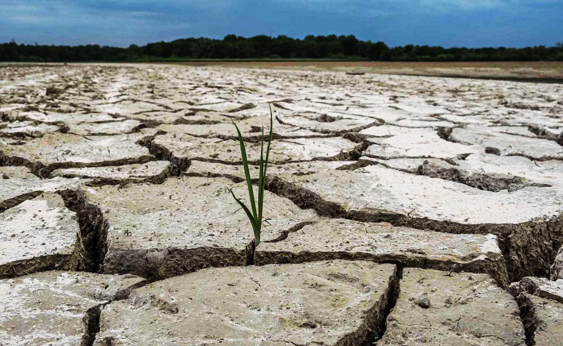 Sécheresse : La Haute-Corse placée en alerte renforcée 