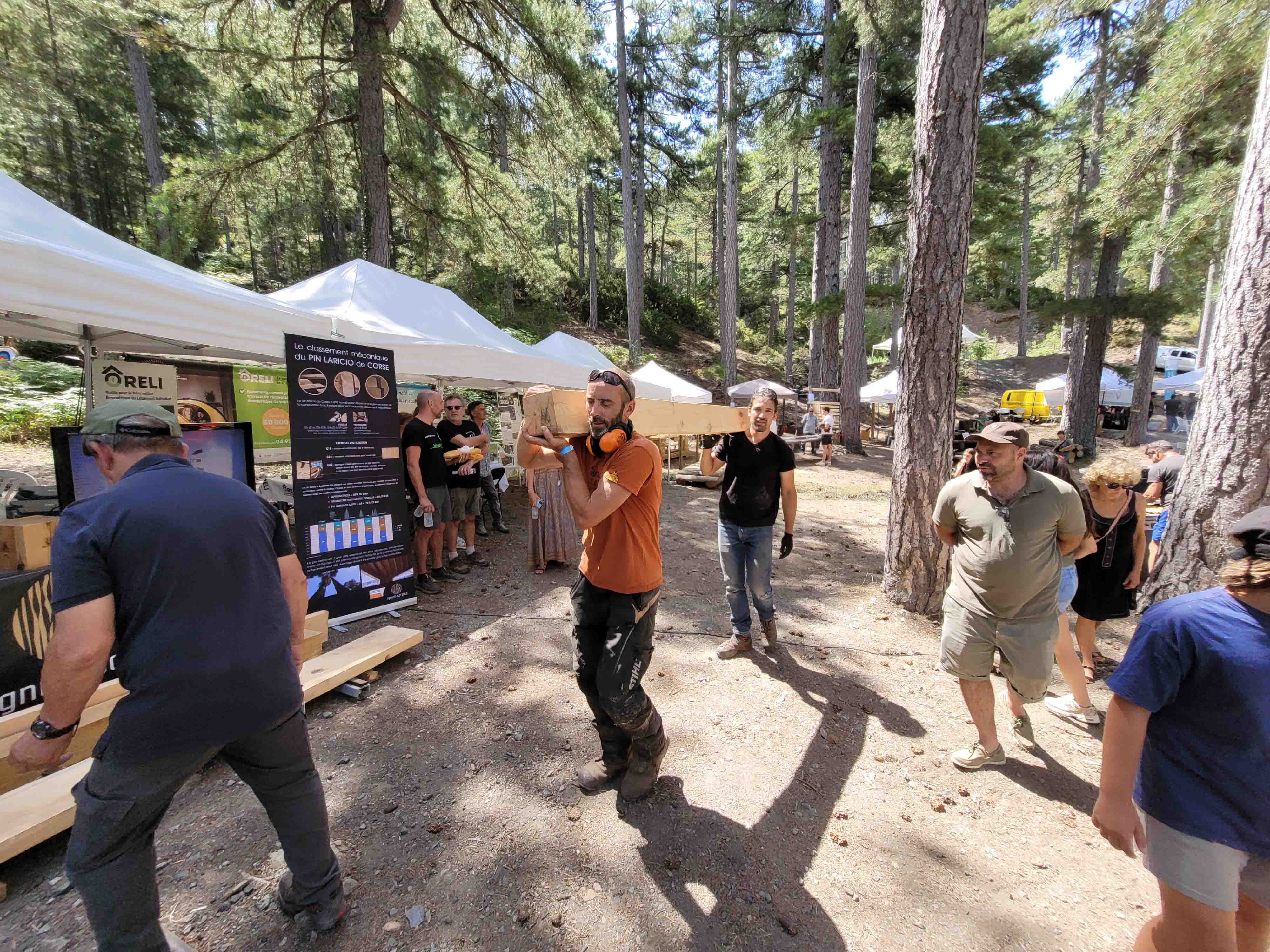 « A festa di u legnu è di a furesta » « A festa di u legnu è di a furesta »