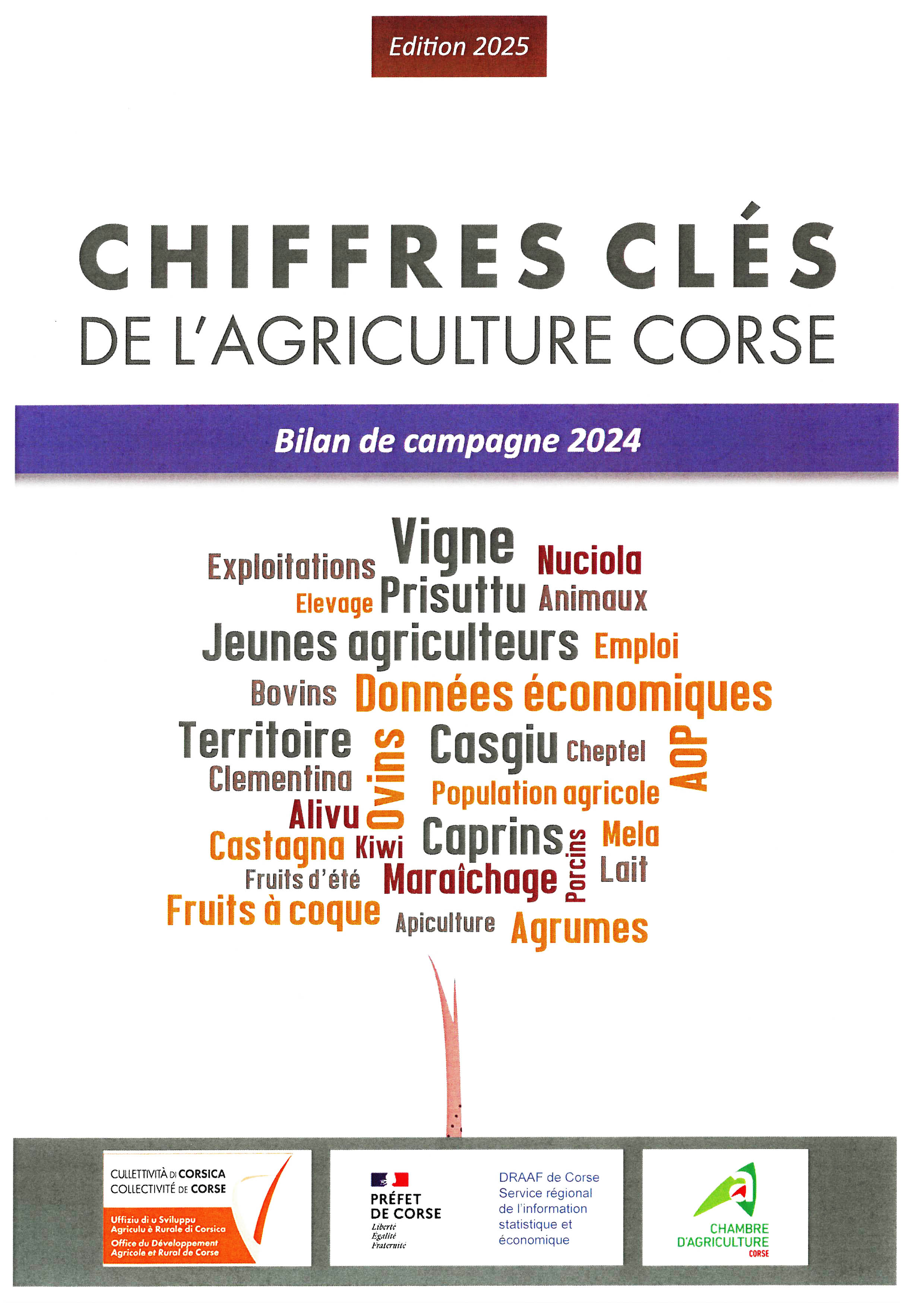 Chiffres clés de l'agriculture en Corse, bilan de la campagne 2024