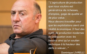 Dumenicu Livrelli trace les contours de son mandat Dumenicu Livrelli trace les contours de son mandat