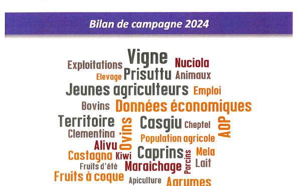 Chiffres clés de l'agriculture en Corse, bilan de la campagne 2024