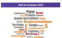 L'agriculture corse en synthèse