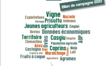 L'agriculture corse en synthèse L'agriculture corse en synthèse