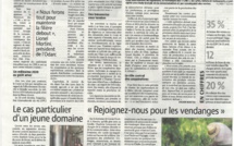 Covid-19 : La filière viticole en grande difficulté