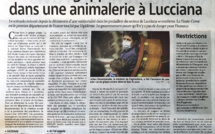 Cas de grippe aviaire dans une animalerie à Lucciana